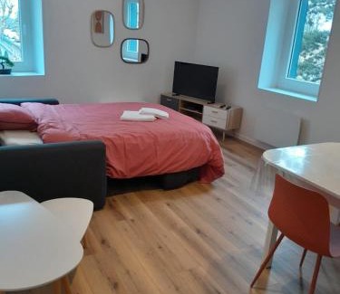 Montrond-les-Bains Apartment | Charmant appartement au cœur de Montrond
