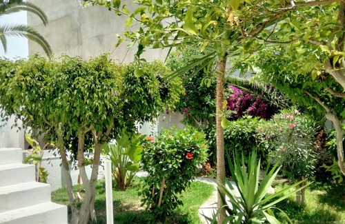 Hammamet House | Charmant Bungalow au Coeur D'hammamet. Ideal Pour une Couple