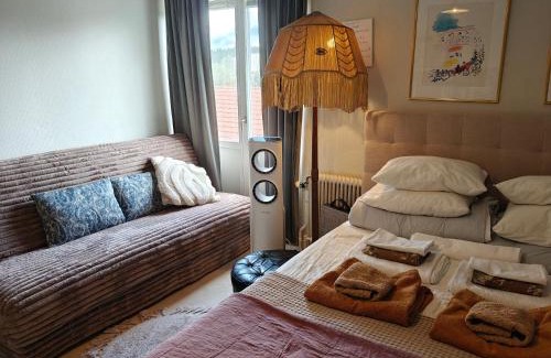 Umea Apartment | Charmig vindslägenhet- Centralt i Umeå