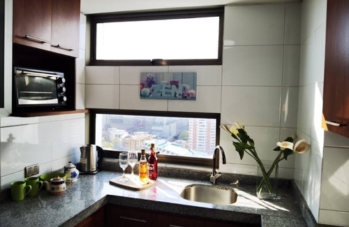 Concepcion Apartment | Charming 1-bedroom apartment in beautiful Concepción with fitness room
