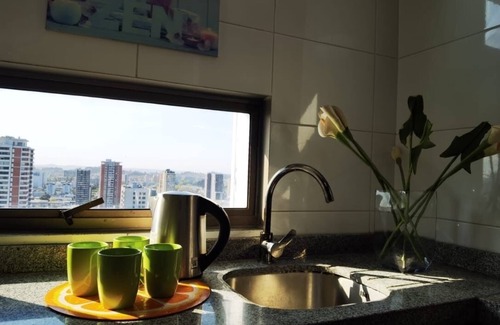 Concepcion Apartment | Charming 1-bedroom apartment in beautiful Concepción with fitness room