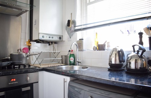 Queenstown Apartment | Charming 1 Bedroom Flat Near Battersea Park!