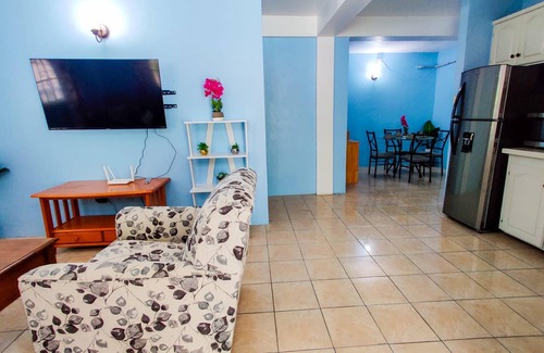 Roseau House | Charming 2-bedroom Apartment with WiFi and AC in Upper, Bath Estate.