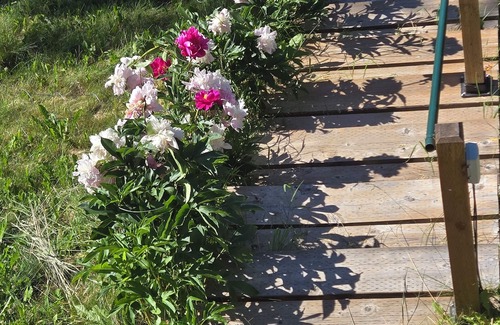Vanderhoof Apartment | Charming 2-bedroom on Cluculz Lake.