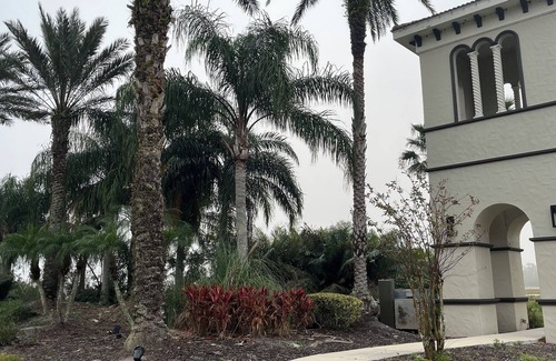 New Smyrna Beach House | Charming 3-bedroom townhome in lovely New Smyrna Beach.