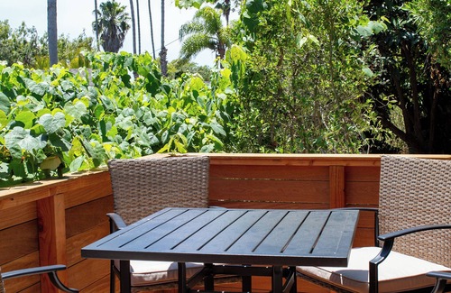 East Mesa House | Charming 3-bedroom house with AC, WiFi on the Mesa!
