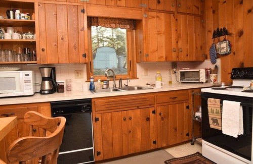Estes Park Cabin | Charming Cabin In The Pines