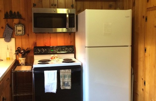 Estes Park Cabin | Charming Cabin In The Pines