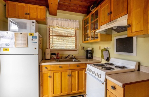 Draper Cabin | Charming Cabin only 20 ft from New River! 1BS4