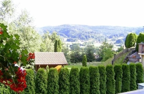 Ferdrupt Cottage | Charming Chalet in Ferdrupt: Ski, Hiking, Private Parking, WiFi