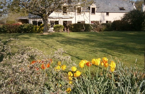 Thoire-sur-Dinan Cottage | Charming Cottage Near Bercé Forest: Fireplace, Billiards, Garden, Close to Hiking & Cycling Trails