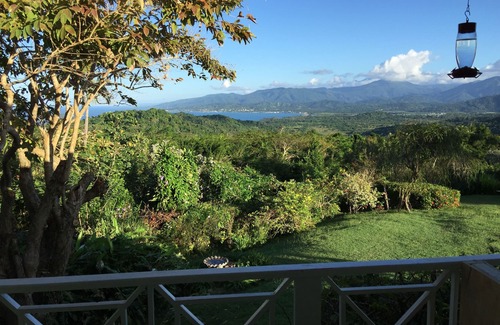 Robins Bay Cottage | Charming Cottage on Beautiful Jamaica Plantation Estate