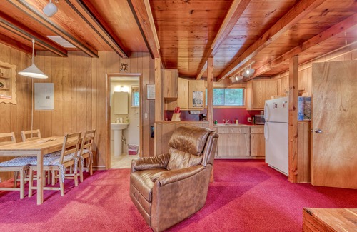 Government Camp Cabin | Charming Dog-Friendly Cabin Close to the Ski Slopes and Town with Free WiFi