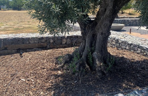 California Wine Country Other | Charming farmhouse with 2 bedrooms and WiFi, AC in fabulous Hopland