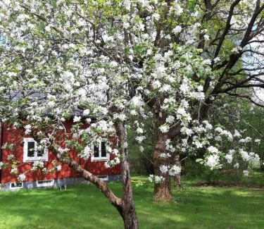 Eksharad House | Charming holiday home Villa Berika