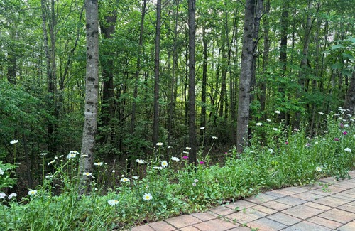 Buford House | Charming Private Guest Suite in marvelous Buford with WiFi, AC