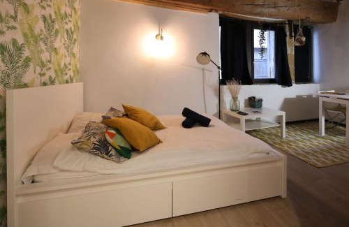 Terreaux - Bat d'argent Apartment | Charming Studio Centre Ville De Lyon