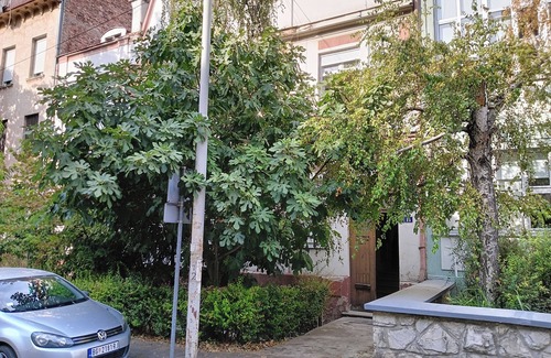 Palilula Apartment | Charming studio in lovely Beograd with AC and WiFi. Enjoy your stay.