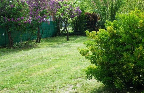 Balatongyorok Apartment | Charming studio "Viola" on the shores of Lake Balaton