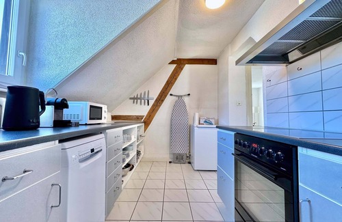 District 4 Apartment | Charming Two-bedroom Attic Flat in Zurich City Center