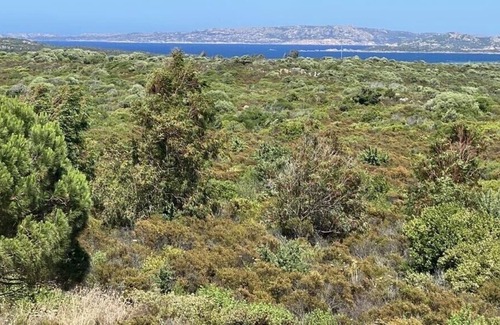 Santa Teresa di Gallura House | Charming villa with sea view in front of the Archipelago of Maddalena