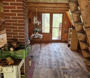 Lisov House | Chata Kožíšek