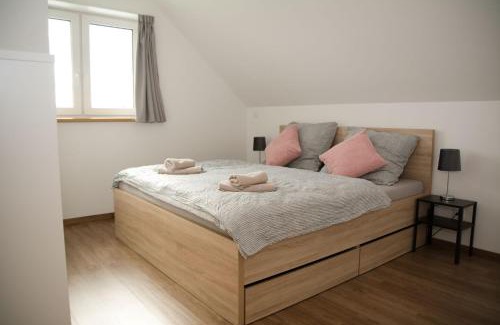 Velenov Apartment | Chata Miki