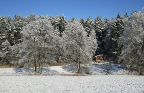 Lisov House | Chata - Na samotě u lesa