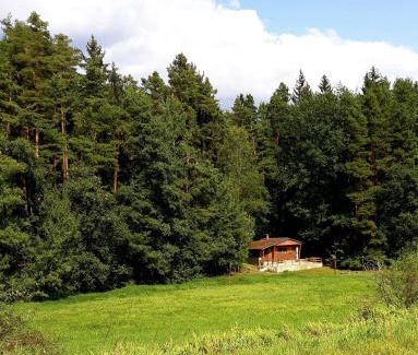 Lisov House | Chata - Na samotě u lesa