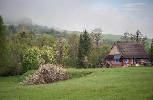Komancza House | Chata Nad Wisłokiem