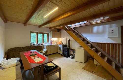 Dolni Laz Apartment | Chata pod Javořicí