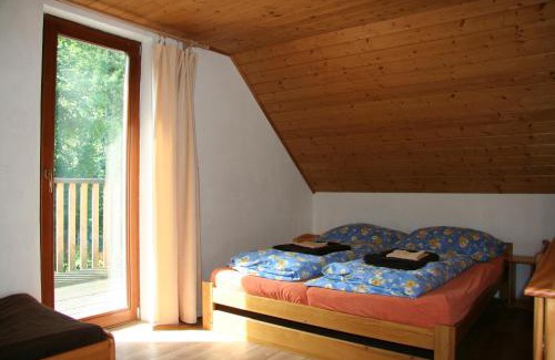 Dolni Laz Apartment | Chata pod Javořicí