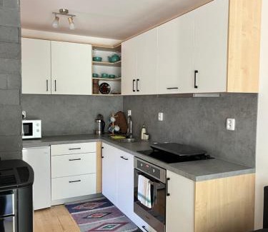 Snina Apartment | Chata Sára