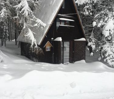 Kubova Hut House | Chata u Vachtů