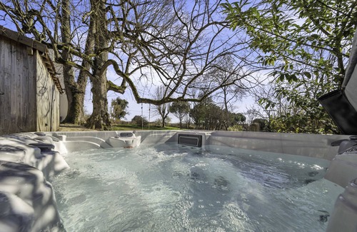 Palleau House | Château de Palleau with pool, spa and garden