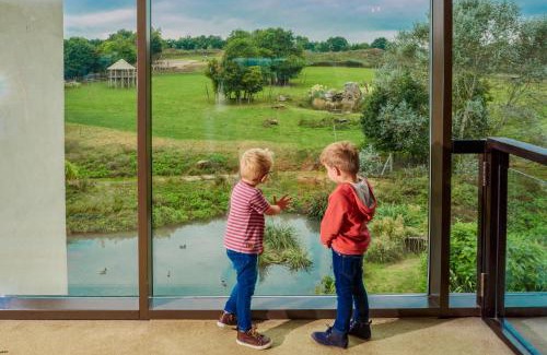 Chessington Hotel | Chessington Safari Hotel