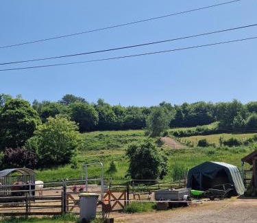 Fresse House | Chevaux au Soleil