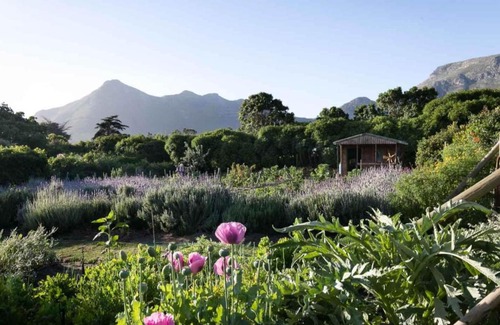 Noordhoek House | Chez Alice