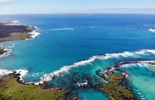Puerto Villamil Apartment | Chez Manany Galapagos Ecolodge