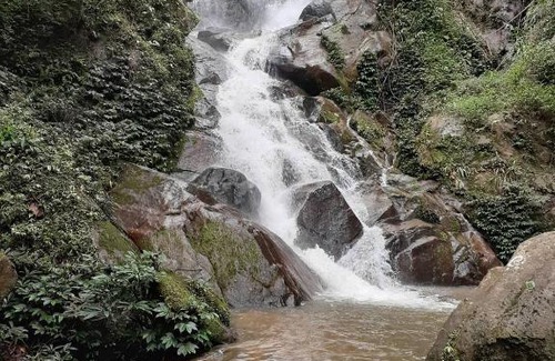 Doi Hang Other | Chiangrai resort house Camping