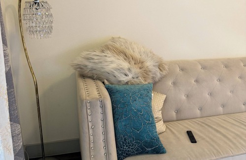 Farmers Branch Apartment | Chic apartment in charming Addison with AC, WiFi,Swimming Pool and A Gym