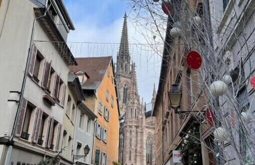 Mulhouse Apartment | Chic & cozy - studio with kitchen - heart of historical centern