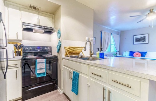 Allandale Apartment | Chic Deluxe Studio | Pet Friendly | 10 min to DT