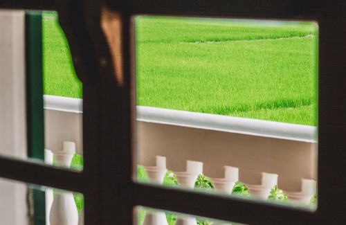 Cam Chau House | Chic French Colonial Villa in the rice fields