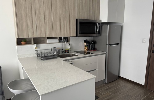Zona 9 Apartment | CHICK, CENTRIC AND BEAUTIFUL NEW APARTMENT