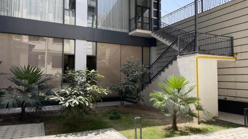 Fergana Hotel | Chinor Hotel Fergana