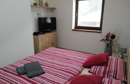 Horna Lehota Apartment | Chopok Juh Apartmán Tatiana, Trangoška
