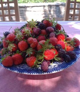Albania House | Chri Chri Guesthouse