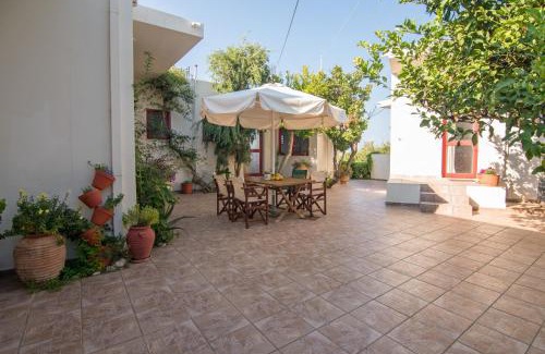 Pyrgos Psilonerou Apartment | Christiana Apartments