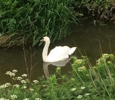 Gillingham Bed & Breakfast | Church Farm